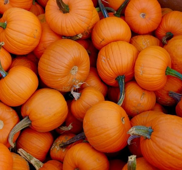 new homes near New Caney