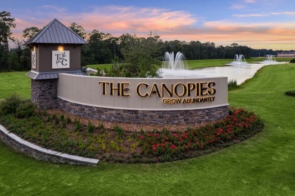 The Canopies