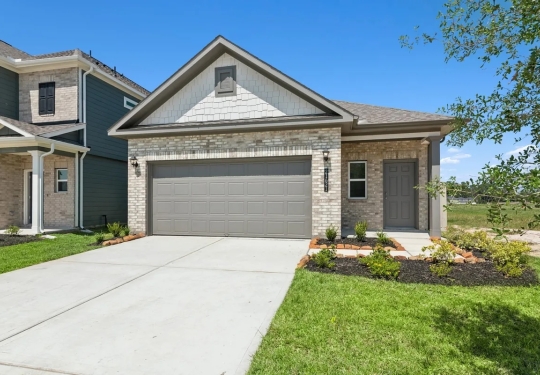 21839 Cypress Vine
