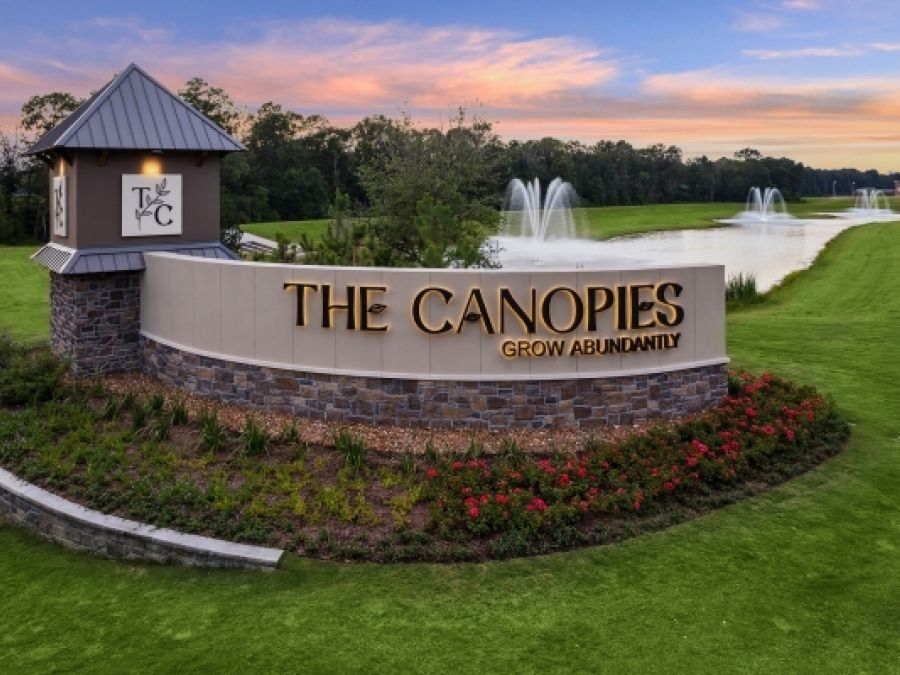 The Canopies